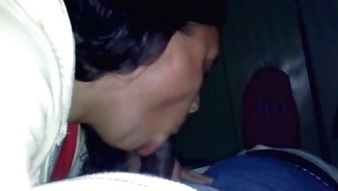 Brunette woman is going to suck on a large black cock